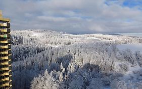 Apartment 350 mit Brockenblick